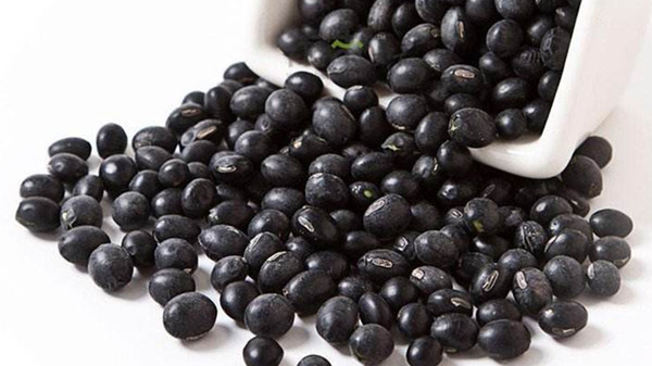 成都养老院经验分享：黑豆一把胜过吃药一堆，一暄康养为您揭晓黑豆的食疗功效（上）1