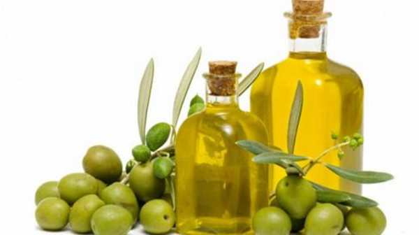 成都养老院经验分享：橄榄油有什么健康益处？（下）1
