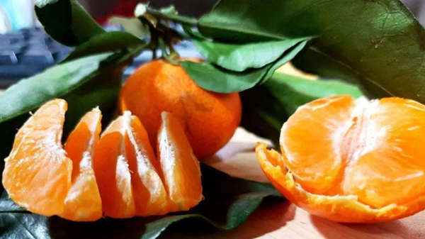 适合高龄老人吃的水果，成都养老院一暄康养为您介绍-柑橘