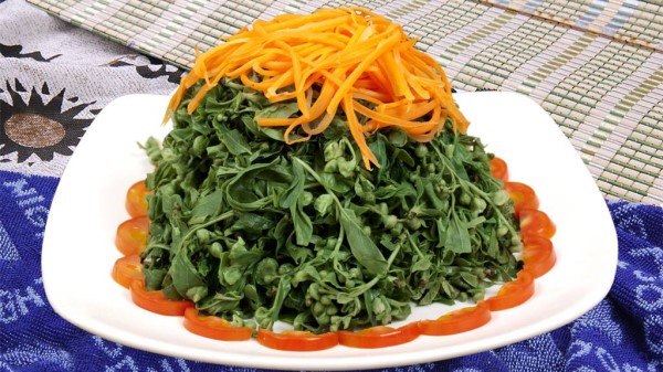 成都温江附近的高端养老院一暄康养提醒你吃野菜的注意事项 (5)