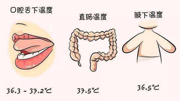 成都护理型养老院一暄康养带你认识测量体温的注意事项