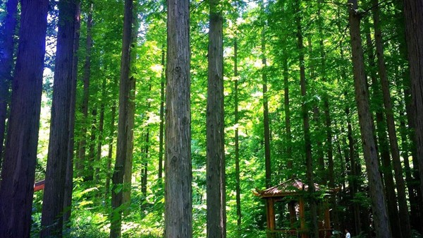 成都养老院一暄康养提醒身体这些部位夏天最怕6种事（二）-夏天