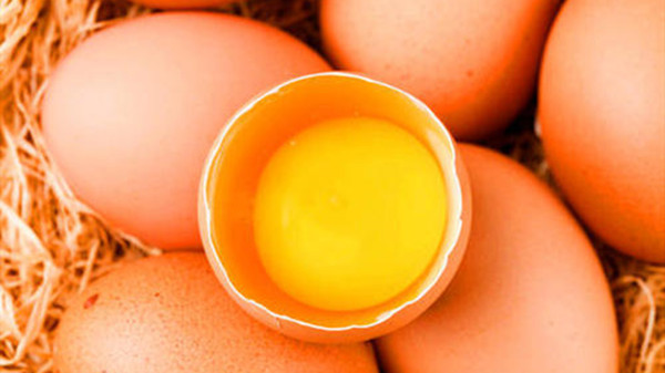 成都养老院一暄康养提醒吃鸡蛋应该小心的事（3）-鸡蛋