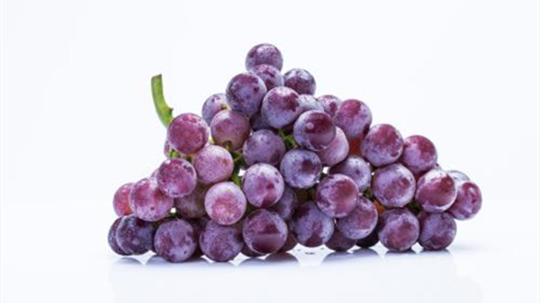 成都养老院一暄康养提醒9种水果可以肝脏护理（2）-葡萄2