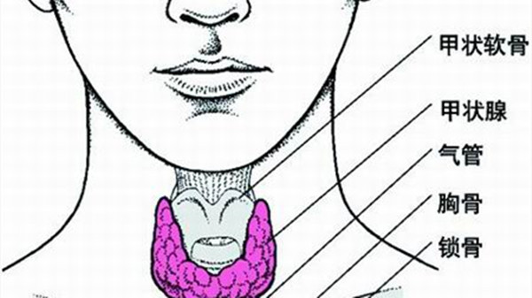 成都养老院一暄康养提醒甲减不重视会惹来各种并发症（4）-甲减2