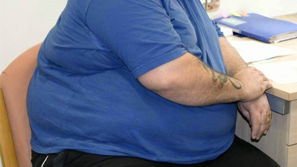 成都好的养老院一暄康养提醒高血脂的危害（二）-肥胖