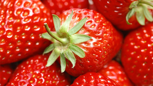 成都养老院经验分享：冬季吃对这8种水果，肌肤越变越水润（下）-草莓