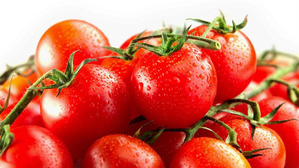 成都养老院经验分享：吃对这8种水果，肌肤越变越水润（上）-西红柿
