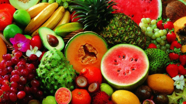 成都养老院-老年人在夏季应如何选择适合自己体质的水果2