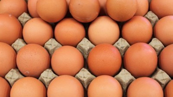 成都天府新区养老院一暄康养提醒鸡蛋的6种错误吃法（1）-鸡蛋2
