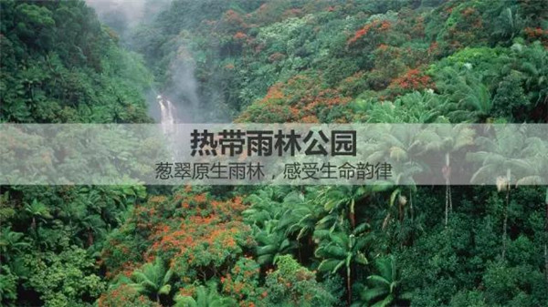 海南木棉湖热带雨林公园